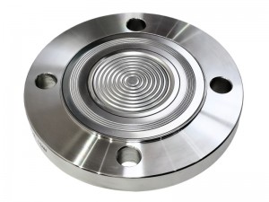 Flanged diaphragm seal_WNS_01