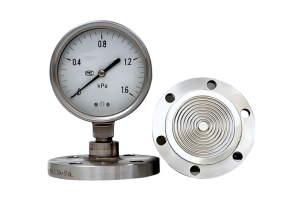 Diaphragm pressure gauge_WINNERS01