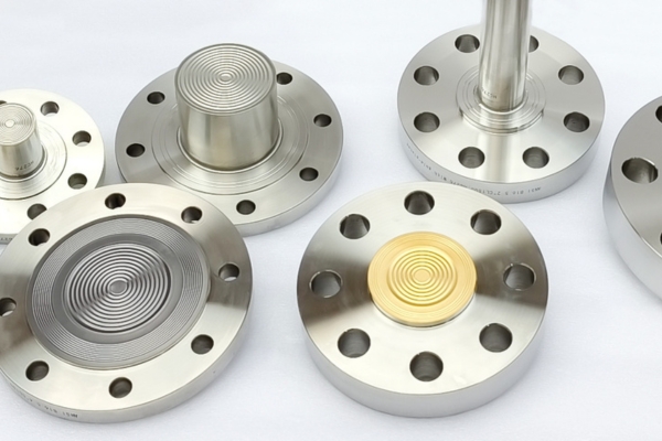 Flanged diaphragm seals_001